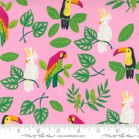 Button Hair Ties - 10 Kit with Jungle Paradise - Select Button Size