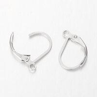 Stainless Steel Classic Lever Back Earring Hooks With Loop Leverback