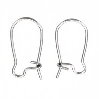10 x 20mm Kidney Wires Stainless Steel