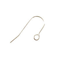 French Earwires 316 Stainless Steel  -  21mm - Non Tarnish