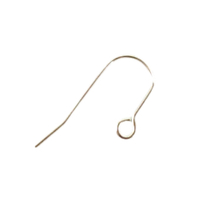  French Earwires 316 Stainless Steel  -  21mm