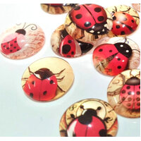 Lady Bugs - 10 x Glass Cabochons 12mm Ladybird Beetle