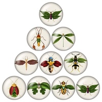 Leafy Insects - 5 Pairs of 12mm Glass Cabochons
