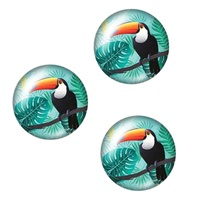 Toucan - 10 x Glass Cabochons 12mm