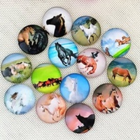 Horses - 5 Pairs of Glass Cabochons 14mm