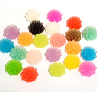 15mm Translucent Dahlias - Mixed Colours in Pairs