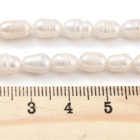 Cultured Freshwater Pearls: Beads 5~5.5mm - 17cm Strand