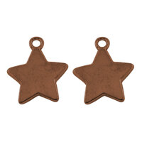 10 Pcs 19mm Star Stamping Blank Brass
