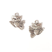 22mm Double Sided Owl Silver Charms