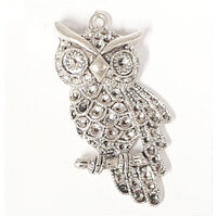 43mm Night Owl Silver Charms