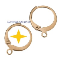 2 Pairs Small Rose Gold Plated Steel Leverback earring Hoops Hooks Wires Hypoallergenic Tarnish Resistant