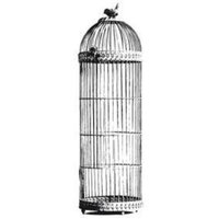 1 x Bird Cage - KaiserCraft Clear Stamp 5cm x 13cm