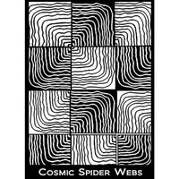 1 x Cosmic Spider Webs - Silk Screens by Helen Breil