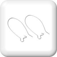 Kidney Earwires